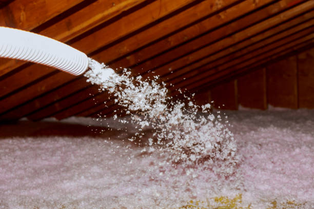 Best Insulation Maintenance and Repair in Knob Noster, MO